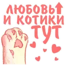 Стикер Котики и фразочки Любовь