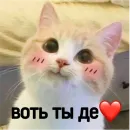 Стикер Котики