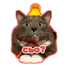 kotiynet