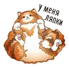 Стикер kotiynet