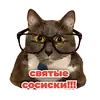 Стикер kotiynet