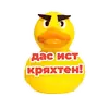 Стикер kotiynet