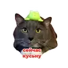 Стикер kotiynet