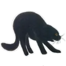 Стикер Kitten
