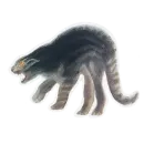 Стикер Kitten