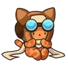 kot.pilot