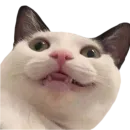 PupesPack