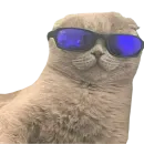 Стикер PupesPack
