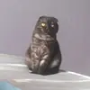 Стикер Kott_ssbornik