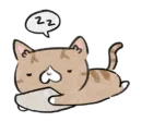 Стикер котя