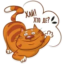 Котик-муркотик