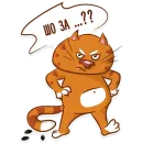 Стикер Котик-муркотик