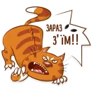 Стикер Котик-муркотик