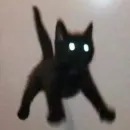 Стикер mini cats