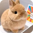 Стикер Кролики 1