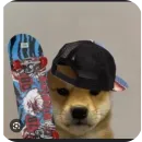 Стикер КРУТЫЕ ПСЫ