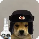 Стикер КРУТЫЕ ПСЫ