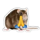 Стикер Крысюки