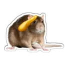 Стикер Крысюки