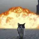 Стикер йоу
