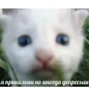 Стикер йоу