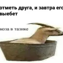 Стикер йоу