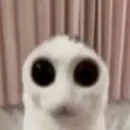 Стикер чушь и ерунда