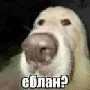 Стикер чушь и ерунда