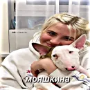 Стикер ksun.tik