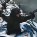 Стикер kucing