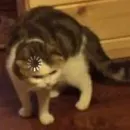 Стикер KulBlaaa By Umrbek okang