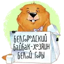 Белгородский байбак — хозяин Белой горы