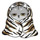 Стикер Котики