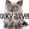Стикер Ну ты и лах