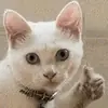 Стикер Ну ты и лах