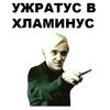 Стикер Ledi