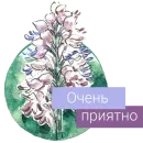 Редкие растения России