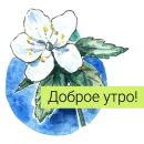 Стикер Редкие растения России