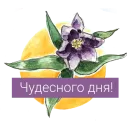 Стикер Редкие растения России
