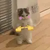 Стикер leyapepel