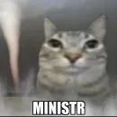 Стикер Cat