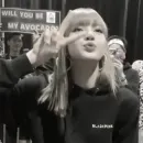 lisa blackpink