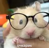 Стикер Мышиные мордахи 🐭