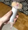 Стикер Мышиные мордахи 🐭