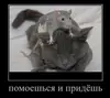 Стикер Мышиные мордахи 🐭