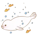 Little white seal