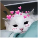 Стикер _lizaschka_