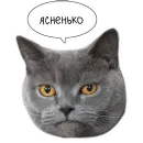 Laksheri_realkotaksheri
