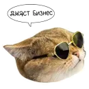 Стикер Laksheri_realkotaksheri