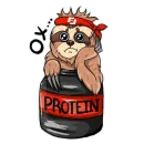 Стикер Loft Fitness